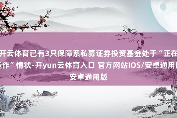开云体育已有3只保障系私募证券投资基金处于“正在运作”情状-开yun云体育入口 官方网站IOS/安卓通用版