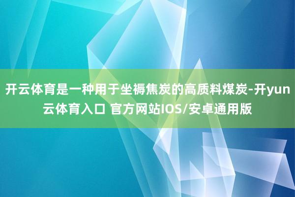开云体育是一种用于坐褥焦炭的高质料煤炭-开yun云体育入口 官方网站IOS/安卓通用版
