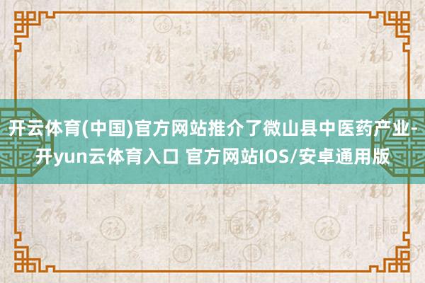 开云体育(中国)官方网站推介了微山县中医药产业-开yun云体育入口 官方网站IOS/安卓通用版