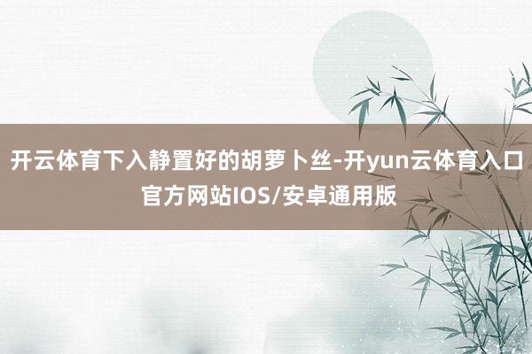 开云体育下入静置好的胡萝卜丝-开yun云体育入口 官方网站IOS/安卓通用版