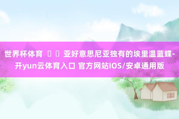 世界杯体育    亚好意思尼亚独有的埃里温蓝蝶-开yun云体育入口 官方网站IOS/安卓通用版